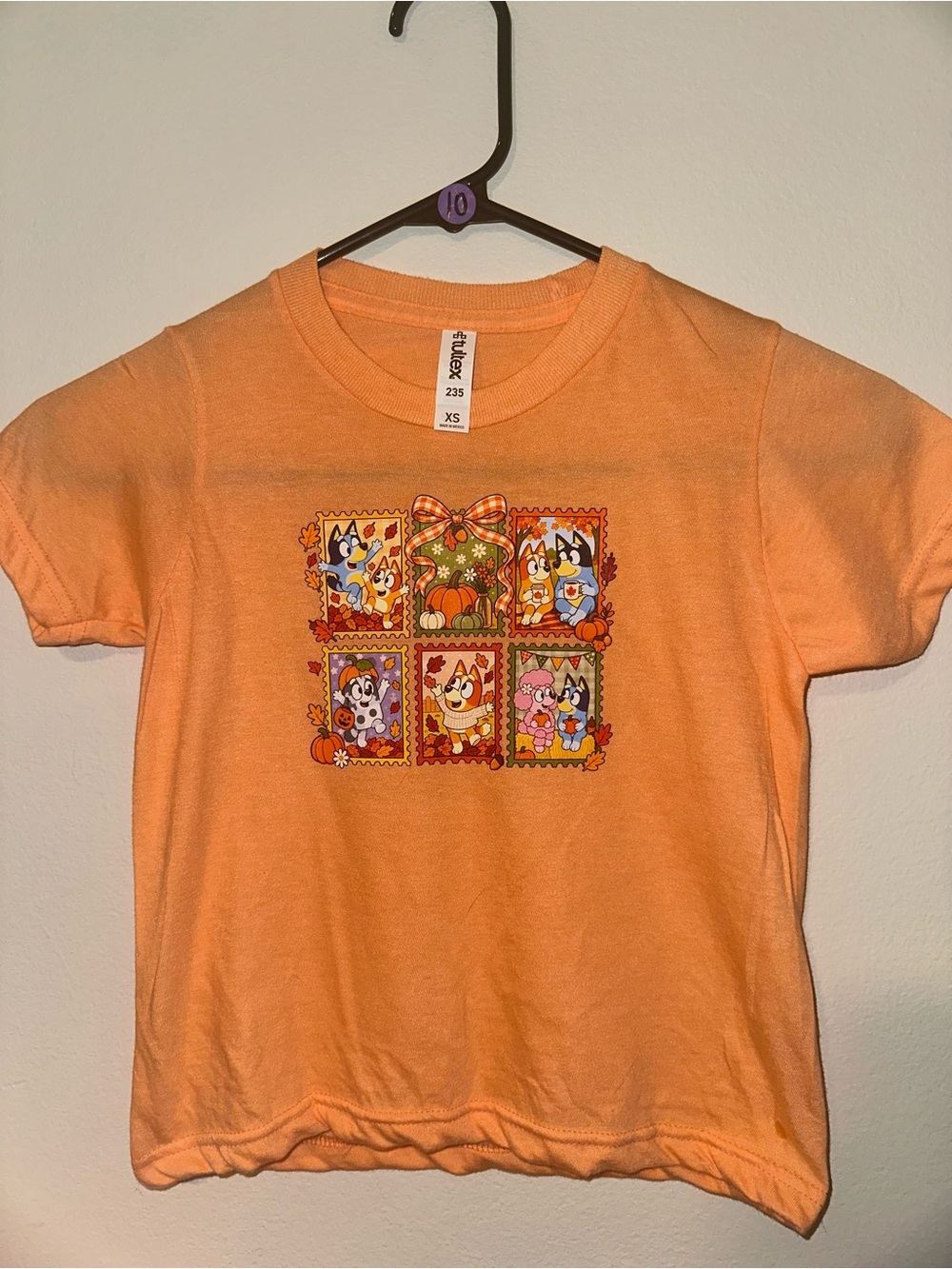 Kids Bluey Tshirt